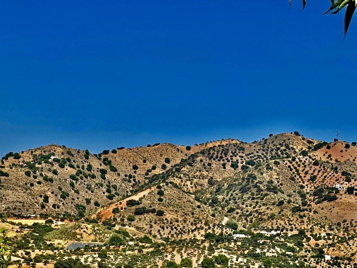 Finca Limoneros Apartman Alora Kültér fotó